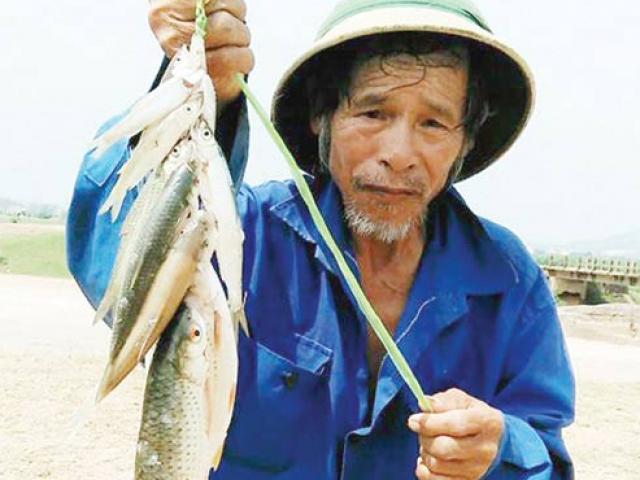 Độc chiêu "săn" đặc sản quý, hiếm cá chày mắt đỏ Độc chiêu "săn" đặc sản quý, hiếm cá chày mắt đỏ
