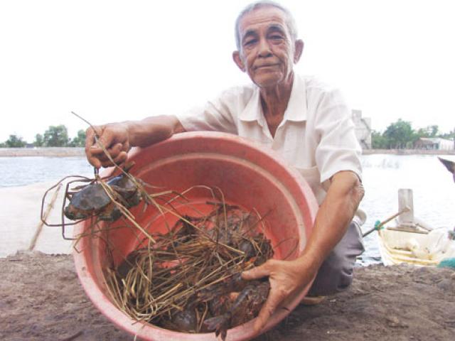 Làm giàu ở nông thôn: Cuộc “dạo chơi” tiền tỷ với tôm, cua hoang dã Làm giàu ở nông thôn: Cuộc “dạo chơi” tiền tỷ với tôm, cua hoang dã