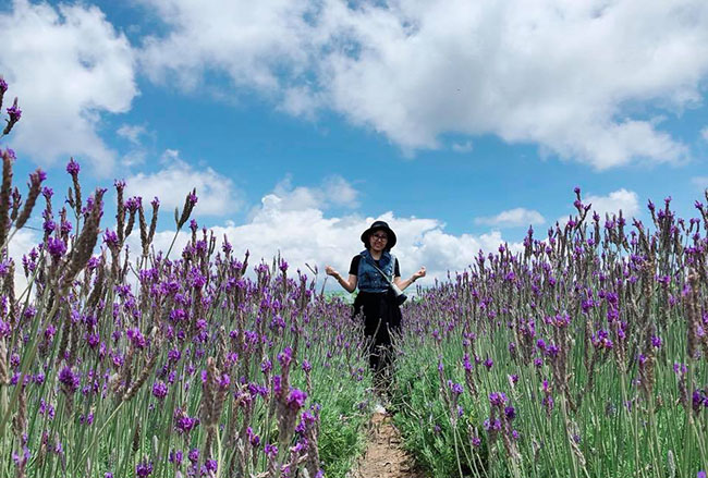 &#39;Lịm tim&#39; trước cánh đồng hoa lavender tím biếc ở Đà Lạt - 4