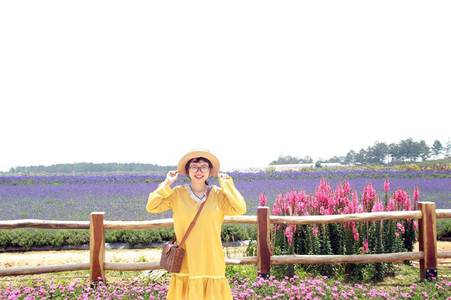 &#39;Lịm tim&#39; trước cánh đồng hoa lavender tím biếc ở Đà Lạt - 6