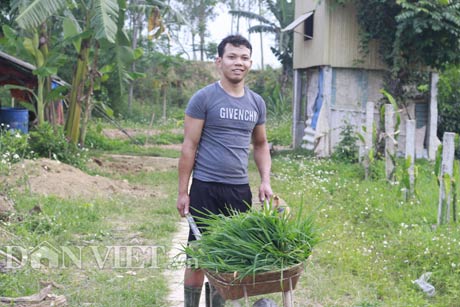 Trồng cỏ, thả cá, nuôi giun cho lợn rừng ăn,“hotboy” xóm lãi 400 triệu/năm - 3