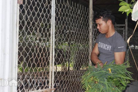 Trồng cỏ, thả cá, nuôi giun cho lợn rừng ăn,“hotboy” xóm lãi 400 triệu/năm - 4