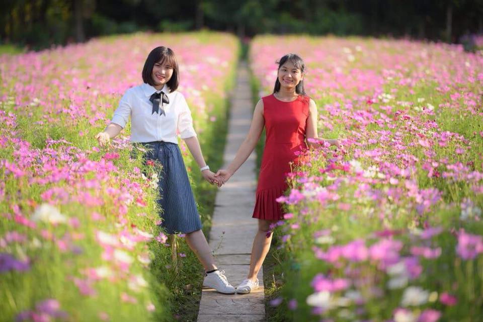 &#39;Phát cuồng&#39; với cánh đồng hoa đẹp như cõi mơ ở Tiền Giang - 3