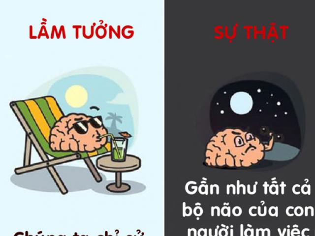 12 lầm tưởng hài hước về cơ thể người đến nay vẫn có người tin “sái cổ”