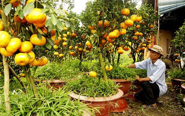 Về Đồng Tháp hái hoa sen, chèo thuyền ngắm trời mây - 6