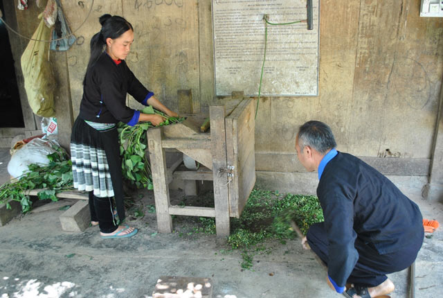 Nơi khỉ ho cò gáy, triệu phú người Mông sắm ô tô nhờ ngan, vịt - 2