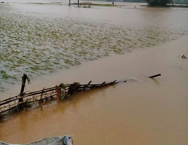 Chùm ảnh mưa lũ càn quét các tỉnh Tây Bắc, người dân lao đao - 7