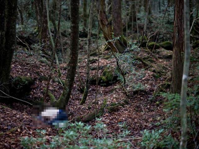 Vụ án 7 thi thể du khách trong rừng vắng: Những cái chết đau đớn
