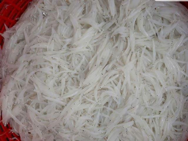 Người Hà thành tranh nhau mua loại cá trắng tinh, thân mềm như bún Người Hà thành tranh nhau mua loại cá trắng tinh, thân mềm như bún