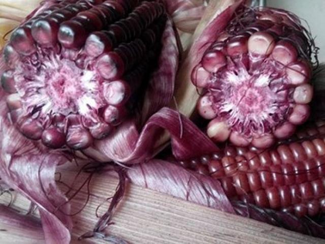 Tác dụng tuyệt vời của bắp ngô tím