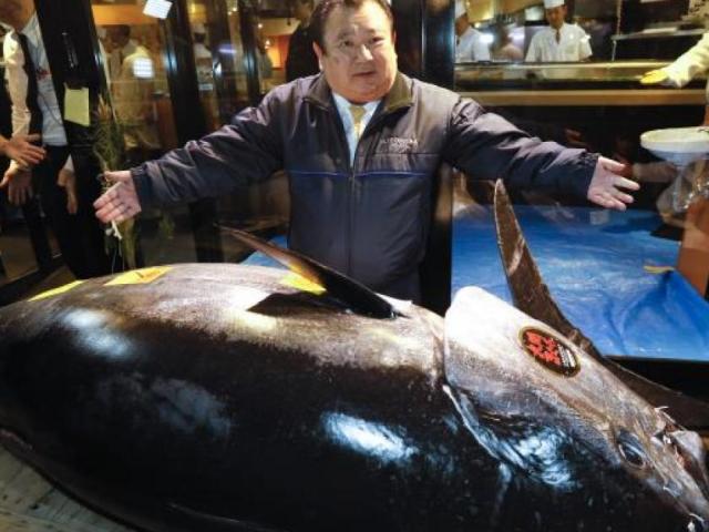 Chủ nhà hàng sài sang chi trả 3.1 triệu USD cho con cá ngừ đắt nhất thế giới
