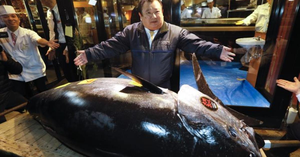 Chủ nhà hàng sài sang chi trả 3.1 triệu USD cho con cá ngừ đắt nhất thế giới - 1