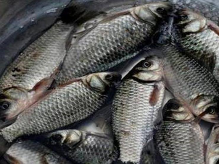 3 loại cá chứa nhiều ký sinh trùng nhất, nhiều người không biết thường mua về ăn