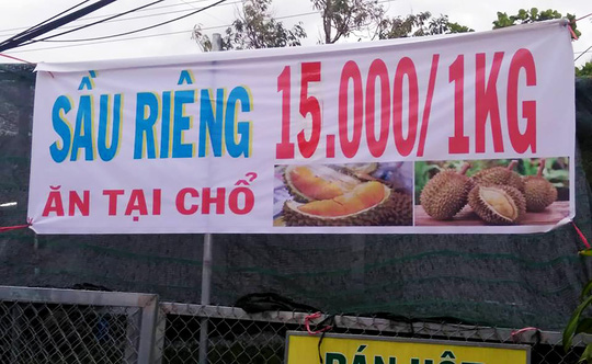 Thực hư về “sầu riêng ăn trả hạt