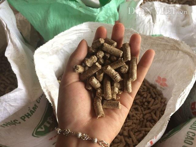 8x thu lãi 600 triệu đồng/năm nhờ tái sử dụng phế phẩm 8x thu lãi 600 triệu đồng/năm nhờ tái sử dụng phế phẩm