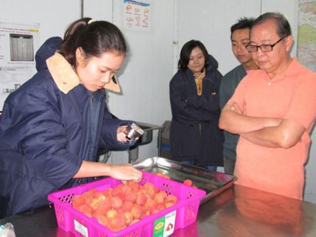 Áp lực từ cuộc chiến thương mại Mỹ - Trung (*): Nông sản Việt sẽ ra sao? Áp lực từ cuộc chiến thương mại Mỹ - Trung (*): Nông sản Việt sẽ ra sao?