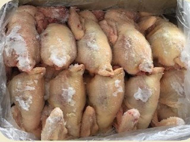 Giá gà không đầu, không chân nhập khẩu khác gà Việt ra sao? Giá gà không đầu, không chân nhập khẩu khác gà Việt ra sao?