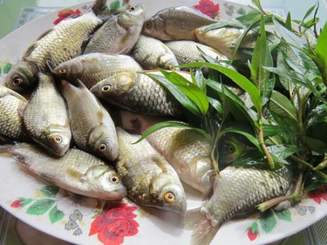 4 món ăn từ cá cải thiện ham muốn cho quý ông