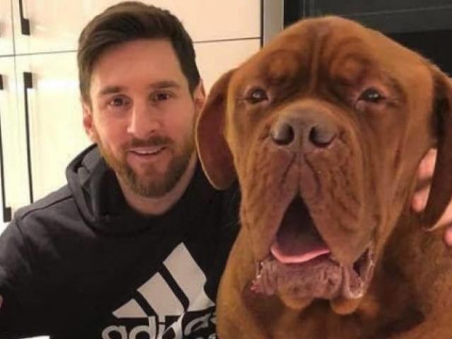 Messi trở lại hội quân Barca: Quên sầu World Cup, chờ đoạt Siêu cúp
