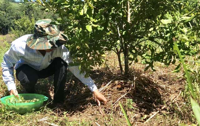 “Nữ hoàng triệu đô” ra quả, xoá hoài nghi mắc ca thành... mắc cạn - 8