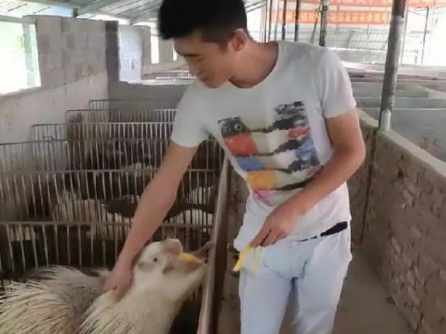 8x nuôi con "chạm vào là đau", một năm đút túi hàng trăm triệu 8x nuôi con "chạm vào là đau", một năm đút túi hàng trăm triệu