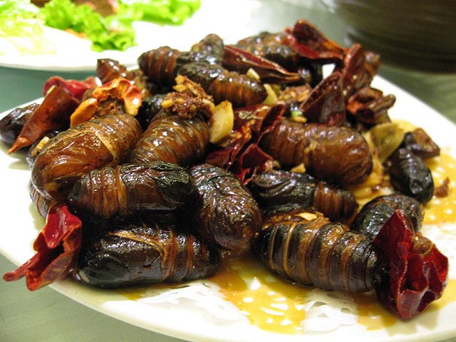 6 loại côn trùng có độ an toàn cao nhất cho người ăn