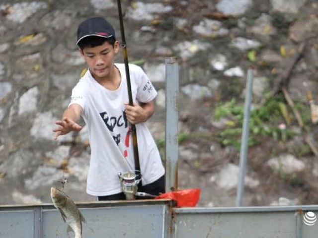Nước sông Tô Lịch dâng cao sau bão số 4, cần thủ kiếm chục kg cá chỉ sau vài giờ Nước sông Tô Lịch dâng cao sau bão số 4, cần thủ kiếm chục kg cá chỉ sau vài giờ