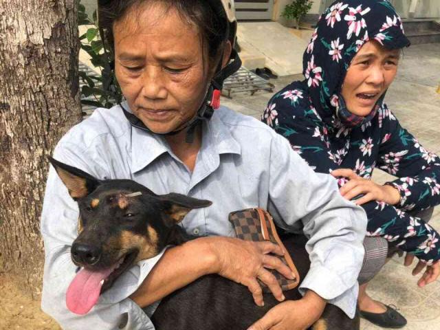 Phá đường dây trộm chó hơn 100 tấn ở Thanh Hóa: Tang vật xử lý thế nào?