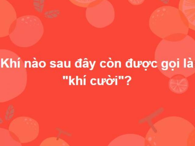 Tinh thông kiến thức Đông Tây kim cổ mới trả lời được hết bộ câu hỏi này