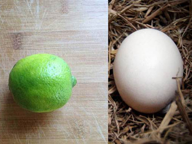 Bà nội nằm liệt lở loét da hoại tử: Cháu đích tôn giúp lành vết loét bằng cách khó tin này! Bà nội nằm liệt lở loét da hoại tử: Cháu đích tôn giúp lành vết loét bằng cách khó tin này!