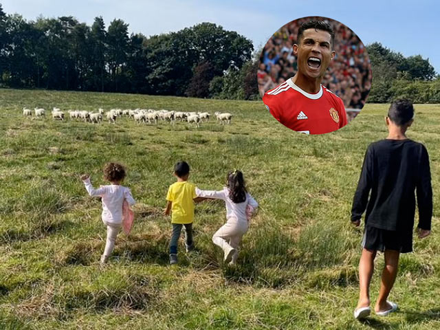 Ngã ngửa lý do Ronaldo chuyển nhà khẩn cấp, đồng đội cũ Evra trêu chọc