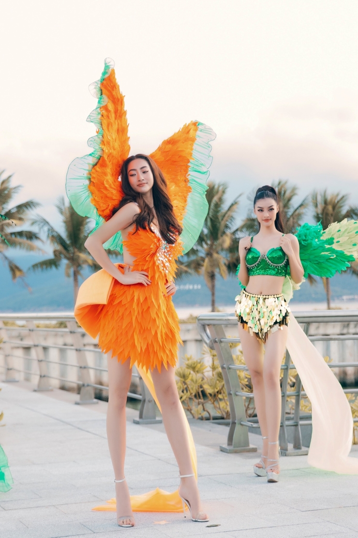 Thí sinh Hoa hậu Thế giới Việt Nam mặc bikini diễu hành trên phố gây tranh cãi trái chiều 12