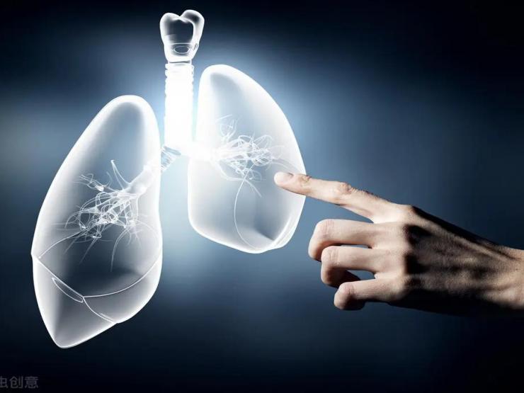 Ăn 4 thứ này thường xuyên để “hút sạch” chất độc trong phổi