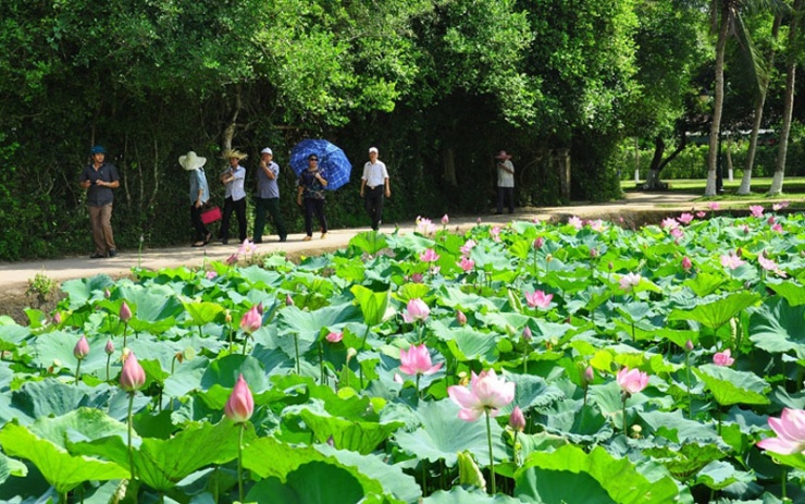 10 địa điểm du lịch Nghệ An đang trở thành niềm cảm hứng du lịch tại Việt Nam - 12