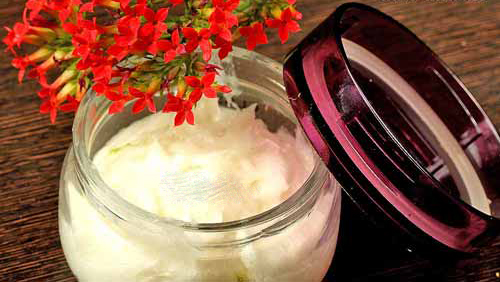 Tự chế kem dưỡng ẩm từ gel lô hội và dầu dừa - 7