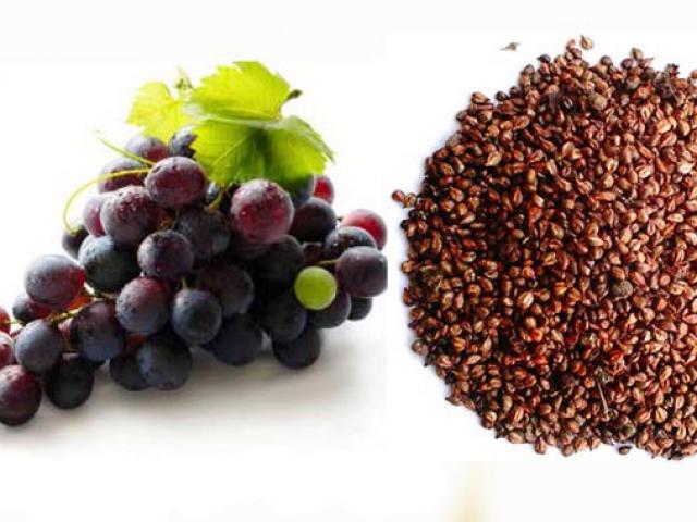 Hạt nho có lợi ích như thế nào với sức khỏe?
