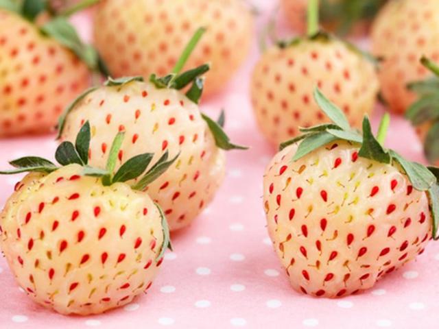 7 lợi ích sức khỏe ‘thần kỳ’ của dâu tây trắng