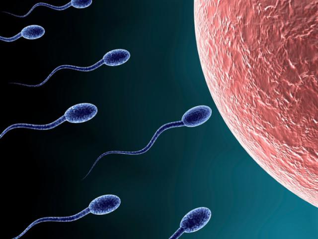 Quý ông ăn gì để "tinh binh" luôn khỏe?