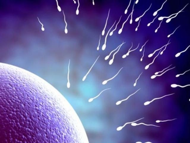 Quý ông cần tránh gì để bảo toàn số lượng và chất lượng "tinh binh"?