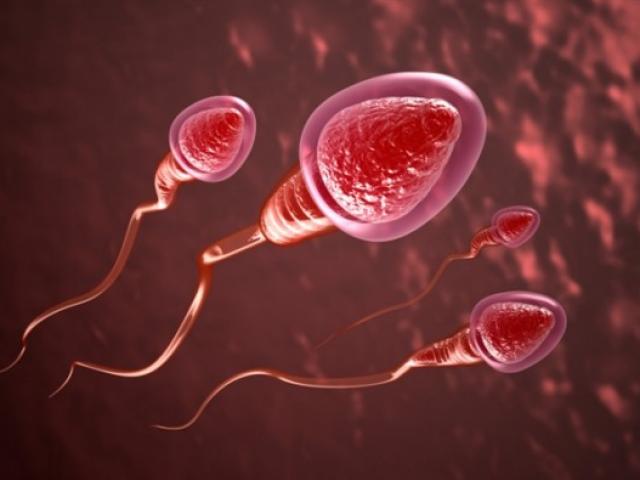 Quý ông cần làm gì để "tinh binh" khỏe mạnh, dễ thụ thai?