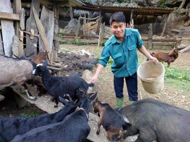 Giữa thung lũng nuôi con đặc sản mà thu trăm triệu Giữa thung lũng nuôi con đặc sản mà thu trăm triệu