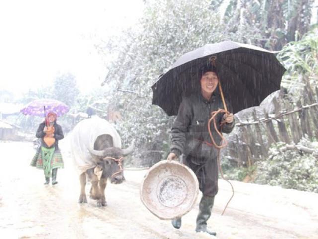 Ăn ngay gia vị, rau củ này để có sức chống rét, đi chơi Tết dương lịch trong ấm áp