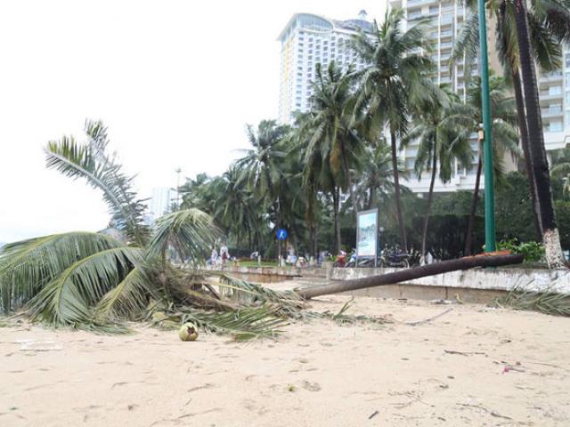 Bão số 5 Matmo giật cấp 12, áp sát Bình Định - Khánh Hòa