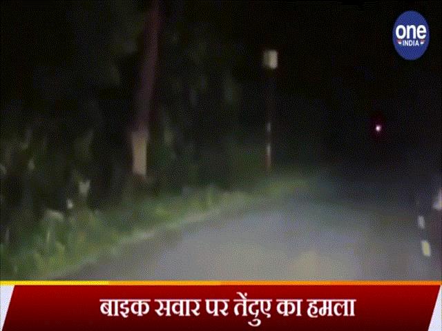 Video: Lái xe máy trong đêm tối, bị sát thủ săn mồi lao tới vồ