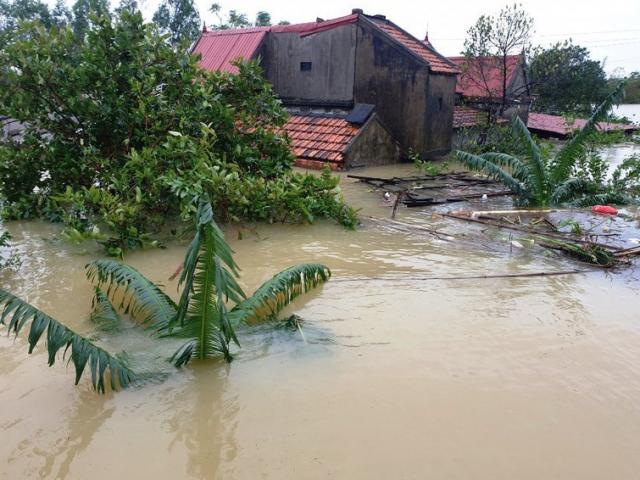 Bộ GD&ĐT có kịch bản nào cho học sinh vùng lũ lụt ở miền Trung?