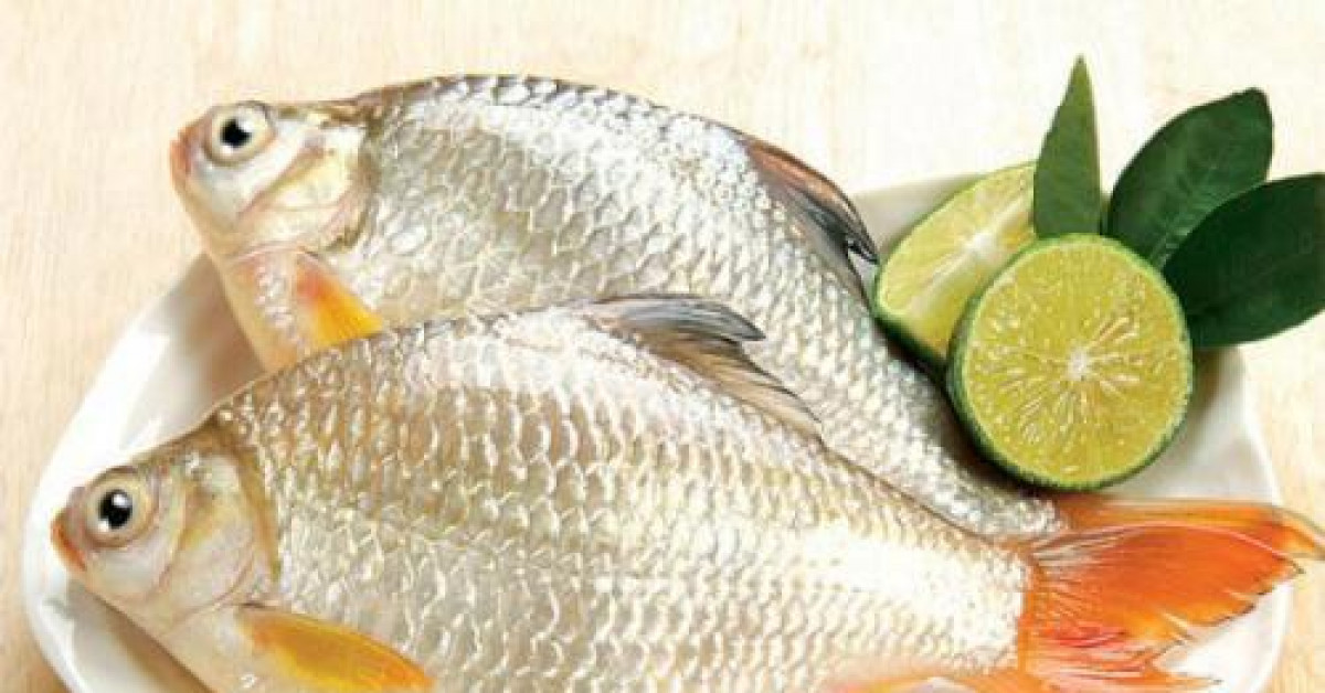 Cá diếc bổ tỳ vị, tiêu viêm