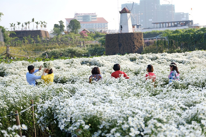 Giới trẻ nô nức check in ở thung lũng hoa lớn nhất Hà Nội - 2