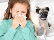 10 yếu tố khiến hen phế quản nặng lên