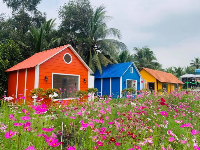 Địa điểm check-in Tết Dương lịch 2021: “Vườn hoa Đà Lạt” giữa lòng Sài Gòn hút giới trẻ - 3