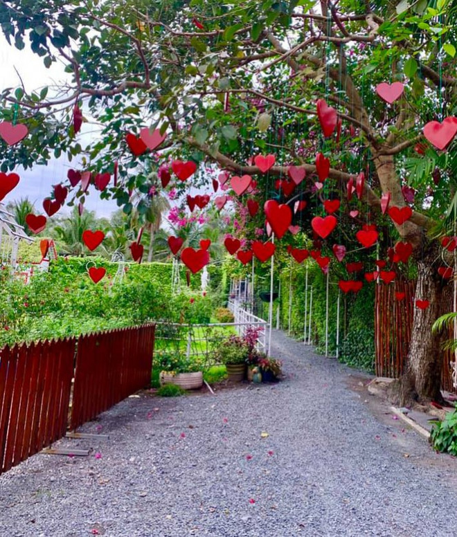 Địa điểm check-in Tết Dương lịch 2021: “Vườn hoa Đà Lạt” giữa lòng Sài Gòn hút giới trẻ - 2